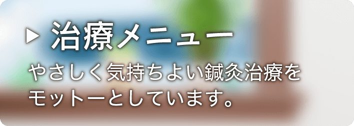 治療メニュー
